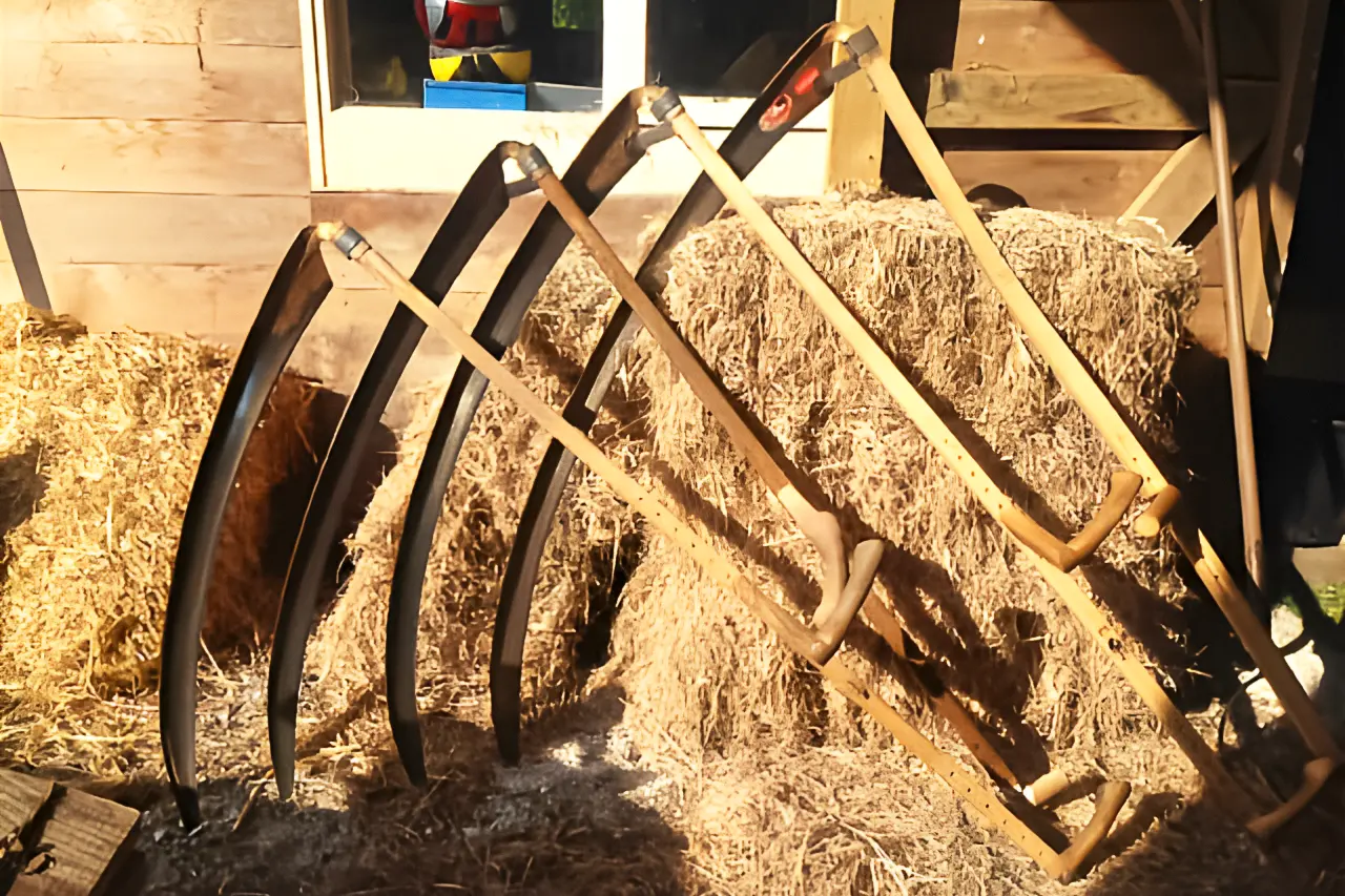 European-Chamionships-scythes stacked scythes at the European Championships