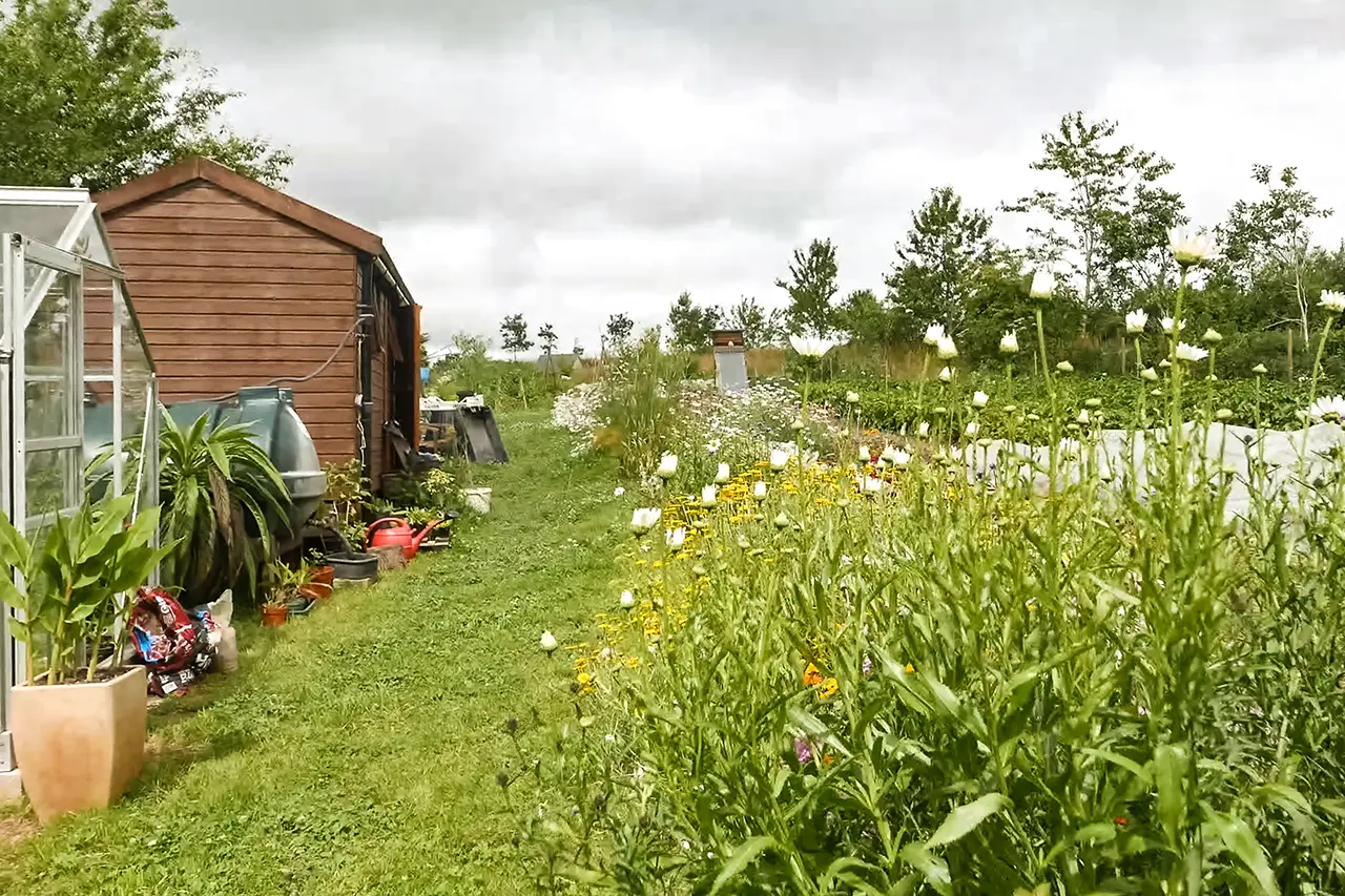 marks half-acre plot